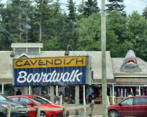 Cavendish boardwalk